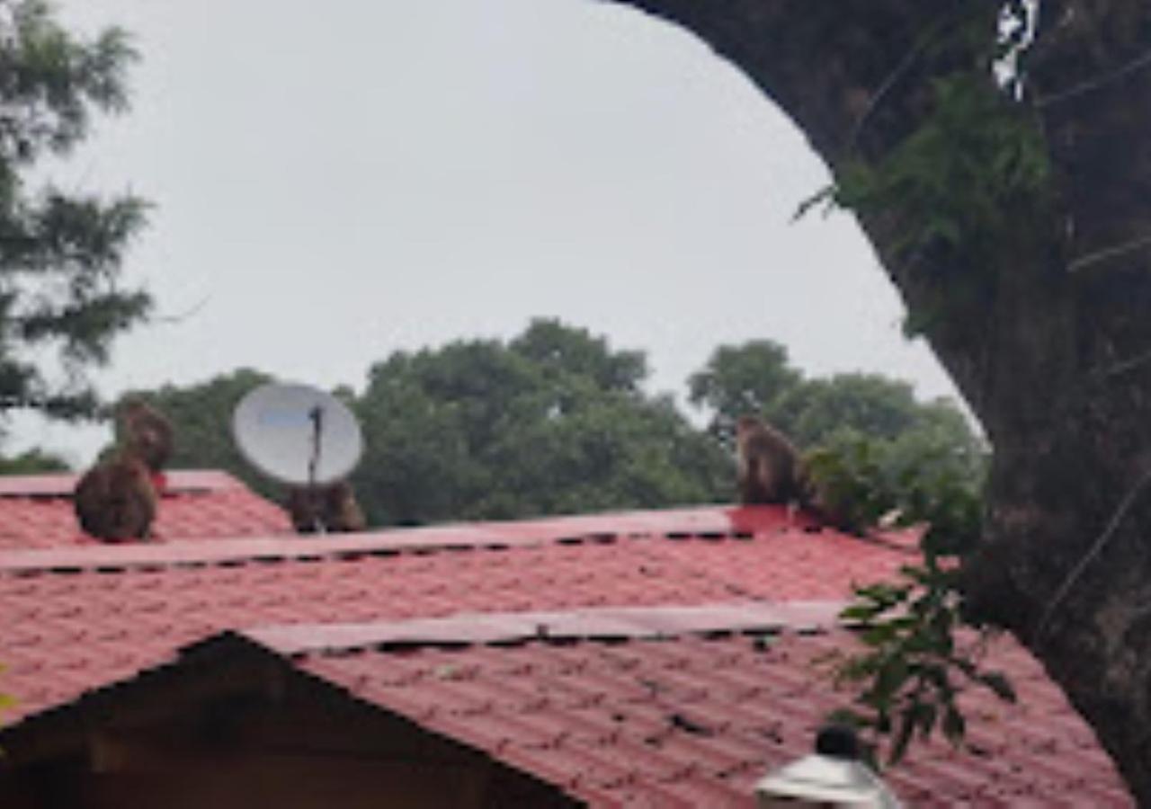 Kaas Woods Resort Yavateshwar Satara Exterior foto